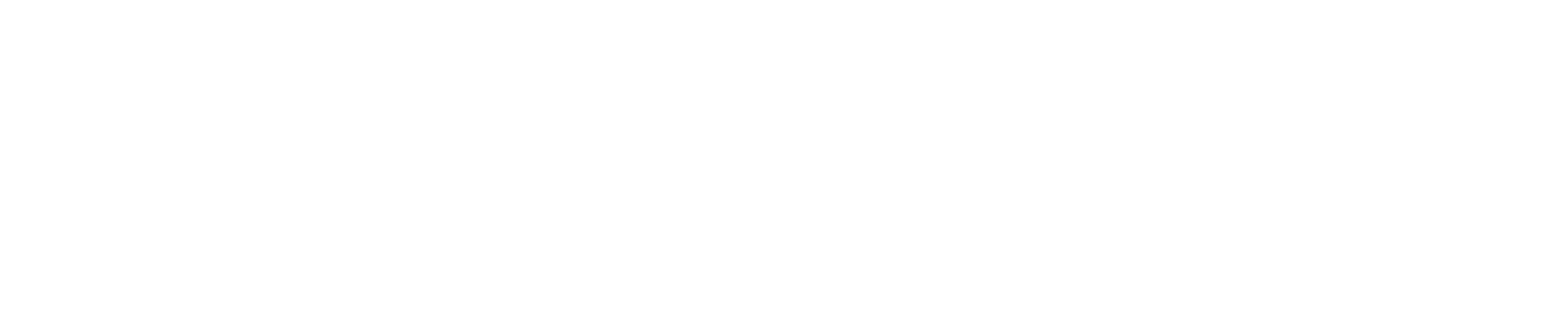 EN Co-Funded by the EU_WHITE Outline